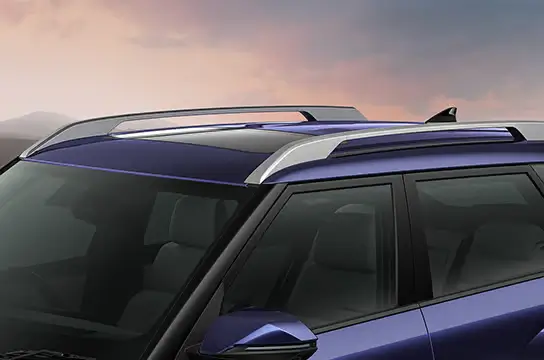 roof4